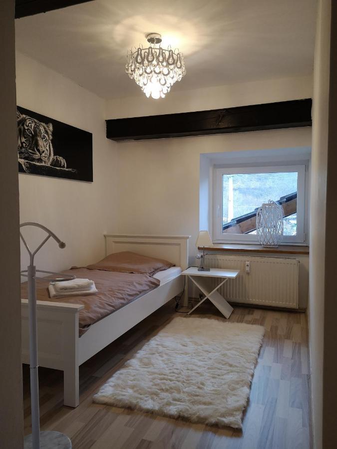 Apartment Direkt An Der Waldnaab 노이슈타트안데르발나브 외부 사진