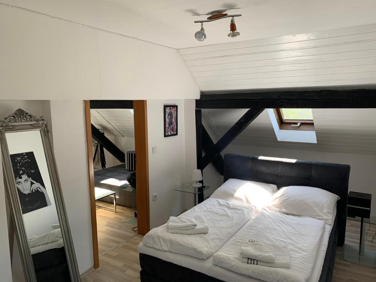 Apartment Direkt An Der Waldnaab 노이슈타트안데르발나브 외부 사진